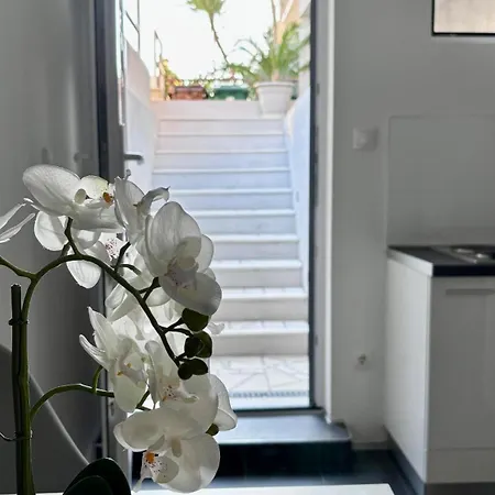 Branka *** Appartement Split