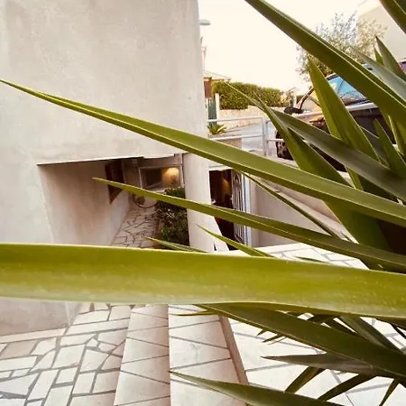 Branka *** * スプリト